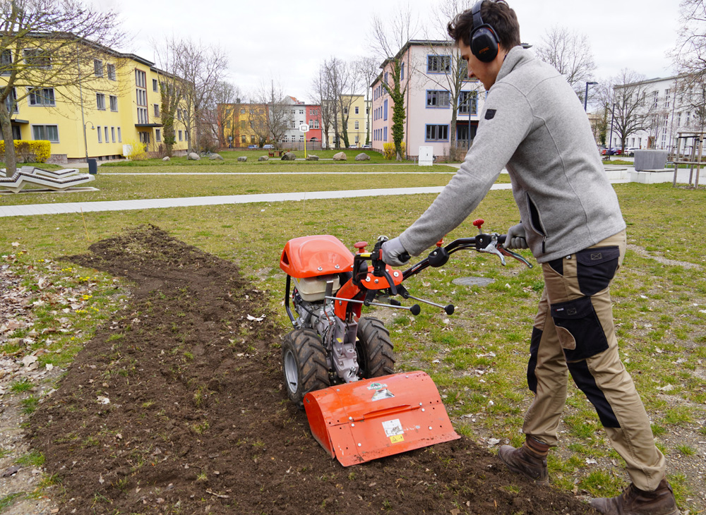 Erweiterung der Blühwiese am Campus Köthen