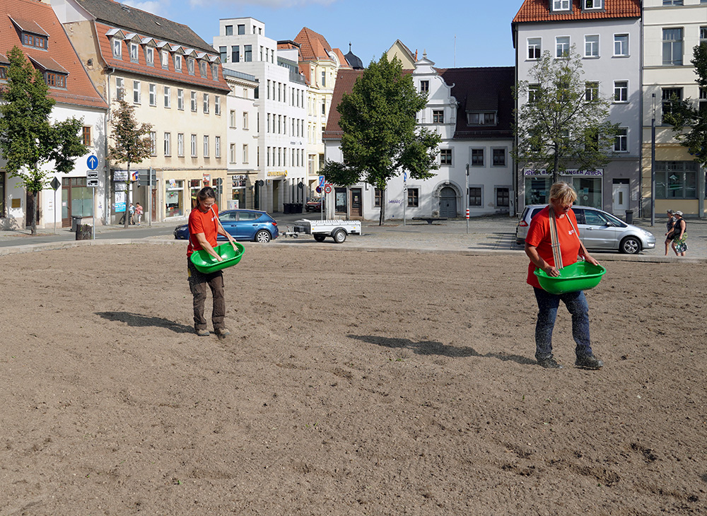 Zwei Mitarbeiterinnen beim Einsäen vor dem Rathaus in Zeitz